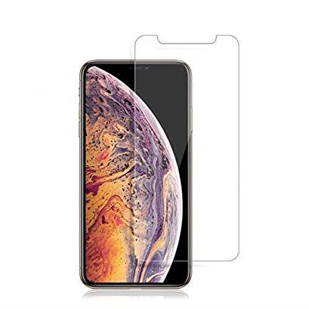 Apple iPhone 11 Pro Max Ekran Koruyucu Nano Temperli Cam