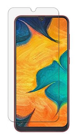 Samsung Galaxy A30 Nano Flexible Esnek 9H Temperli Ekran Koruyucu Cam