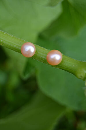 STONEAGE Pembe İnci Doğal Taş Kadın Küpe