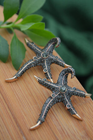 STONEAGE Deniz Yıldızı Zirkon Taşlı Kadın Küpe Madeni Bronz