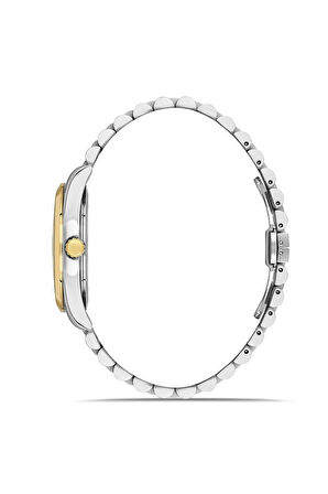 Gümüş Çelik Kordon Erkek Kol Saati F11567AWT-A