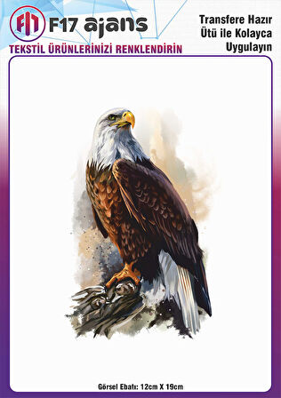 Ütü ile Yapışan Tekstil DTF Transfer Baskı Kartal
