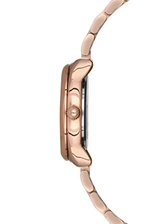 Rose Çelik Kordon Kadın Kol Saati F21152A-C