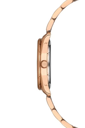 Rose Çelik Kordon Kadın Kol Saati F21161A-C