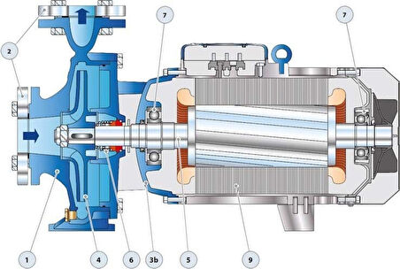 Pedrollo F 80/160B Flanşlı Santrifüj Pompa 25 HP