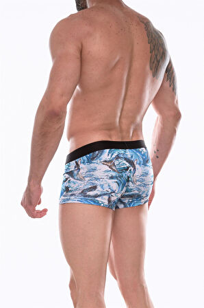 Don Moris Erkek Desenli Boxer
