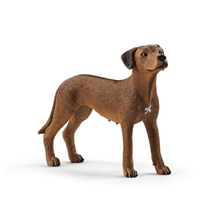 FABBATOYS Schleich - Rodezya Ridgeback Köpek +3 yaş