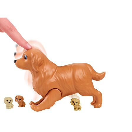 FABBATOYS HCK75 Barbie ve Yeni Doğan Köpekler Oyun Seti, Barbie ve Hayvanları