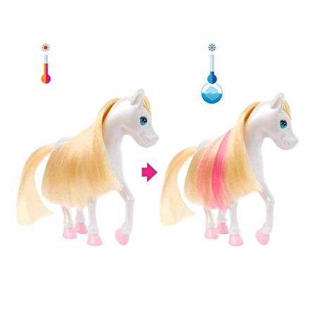 FABBATOYS HNT67 Barbie A Touch Of Magic Chelsea ve Pegasus Oyun Seti
