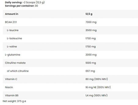 FA İCE BCAA 375 g