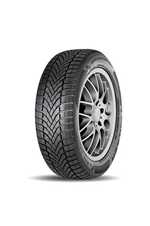 Falken 205/55 R16 91H EuroWinter HS02 Oto Kış Lastiği Üretim:2022