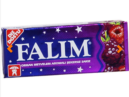 Falım Orman Meyveleri Aromalı Şekersiz Sakız 7 g (20 ADET)