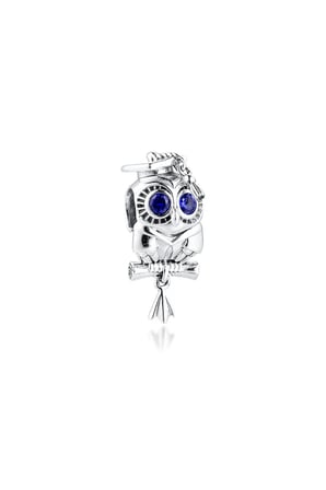 Mezun Bilge Baykuş 925 Ayar Gümüş Charm