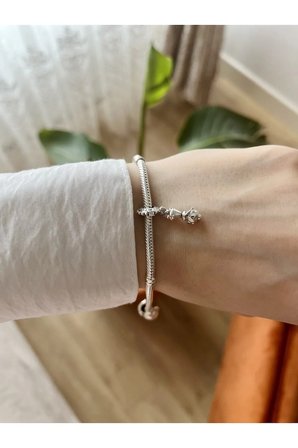 Dondurulmuş Olaf Sallantılı Charm