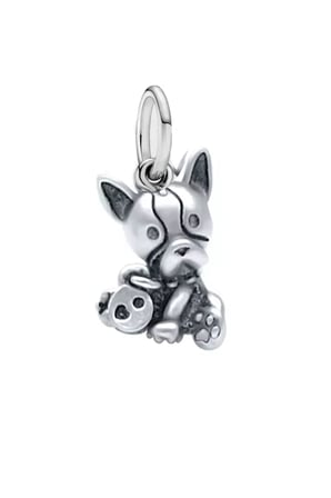 Yavru Köpek Sallantılı Charm