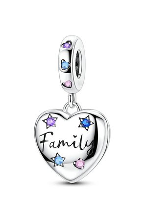 Family Yazılı Kalp Sallantılı Charm