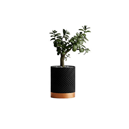 Linea Noir – Modern Saksı