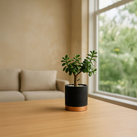 Linea Noir – Modern Saksı