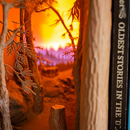 Aydınlatmalı Diorama Kitaplık Dekoru