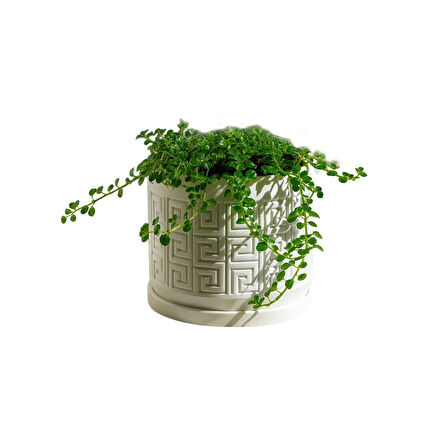 Aztek Desenli Modern Saksı