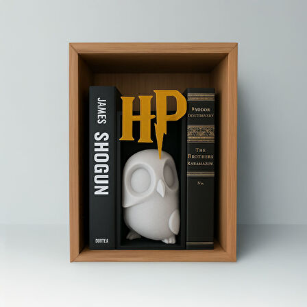 Harry Potter Baykuş Kitap Desteği