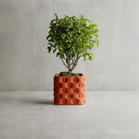 Kapitone Desenli Modern Saksı
