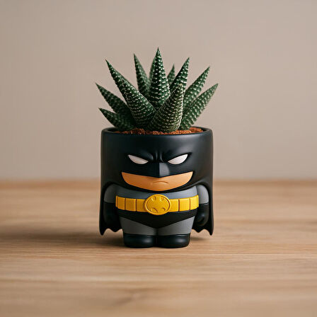 Batman Figürlü Mini Saksı
