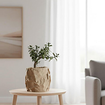 Buruşuk Stil Saksı