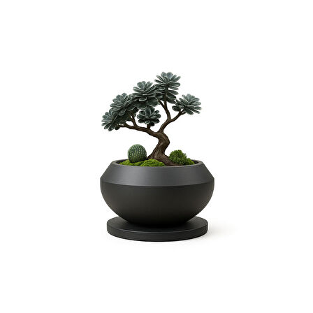 Dekoratif Bonsai Saksı