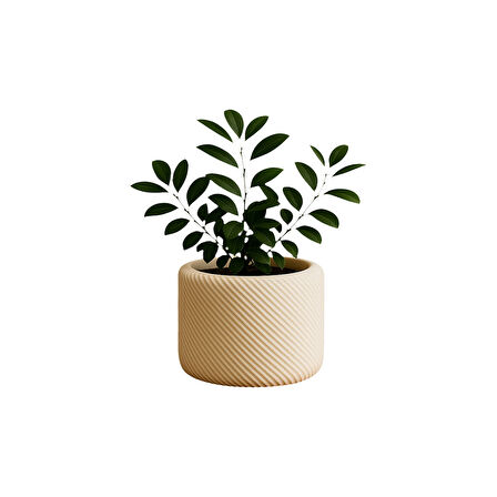 Minimal Çizgili Dekoratif Saksı