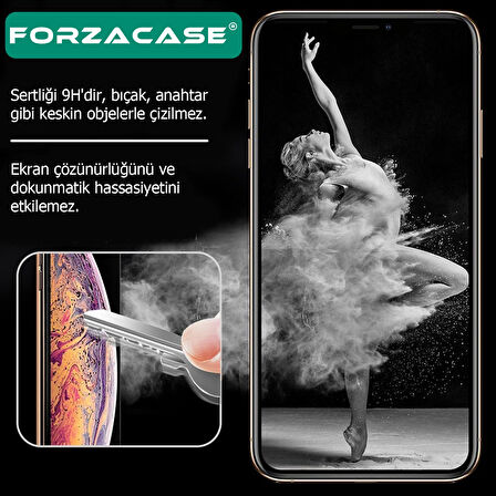 Forzacase iPhone 17 Pro Max ile uyumlu Temperli Kırılmaz Cam Ekran Koruyucu - FC002