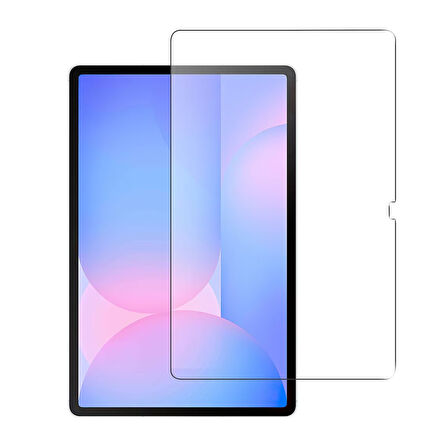 Forzacase Samsung Galaxy Tab S10 FE Plus 13.1 inç uyumlu Temperli Kırılmaz Cam Ekran Koruyucu FC021