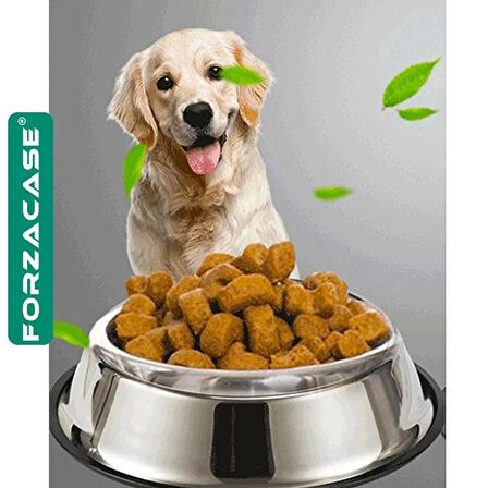 Forzacase 22 cm 500 ml Kedi Köpek Metal Mama ve Su Kabı - FC032