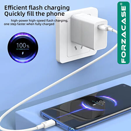 Forzacase Galaxy Tab A9 Serisi ile uyumlu Hızlı Şarj Destekli 120W Type-C USB Şarj Cihazı Set FC1025