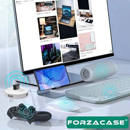 Forzacase Mini v5.1 USB Bluetooth Dongle 5.1 Bluetooth Adaptör - FC443