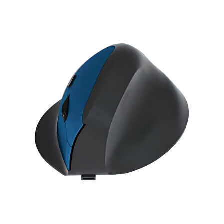 Forzacase 1600 DPI Şarj Edilebilir 2.4 GHz Ergonomik Bluetooth Kablosuz Mouse - FC745