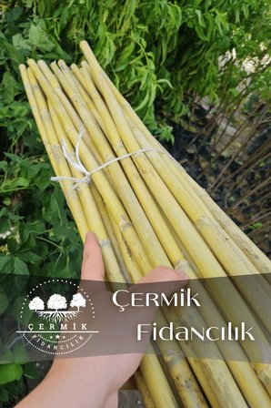 Bambu Fidan Bitki Destek Çubuğu 30 Adet 2 Metre Boy