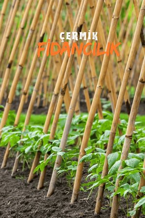 1,5 Metre Fidan Bitki Destek Çubuğu Bambu 10 Adet