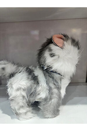 Tasmalı Dil Çıkartan Sesli Hareketli Ses Tekrarı Yapan Sevimli Kedi Büyük Boy