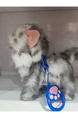 Tasmalı Dil Çıkartan Sesli Hareketli Ses Tekrarı Yapan Sevimli Kedi Büyük Boy