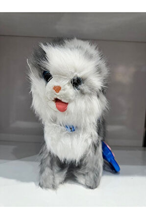 Tasmalı Dil Çıkartan Sesli Hareketli Ses Tekrarı Yapan Sevimli Kedi Büyük Boy