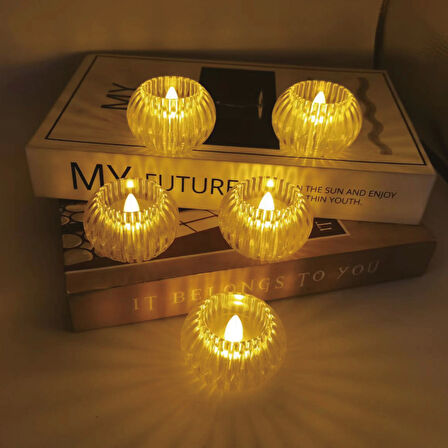 Pt-431 Led Mum
