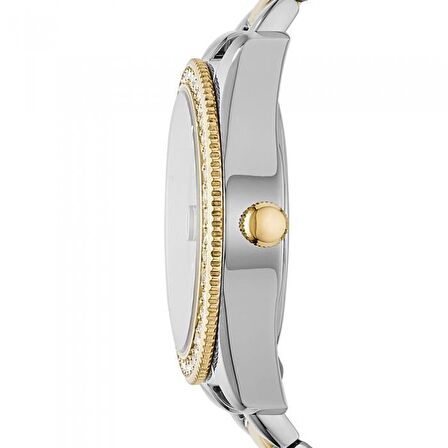 Fossil FES4319 Kadın Kol Saati