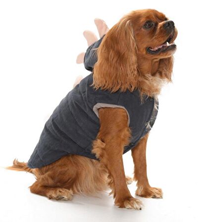 Küçük ve Orta Irk Köpek Ceket - Dino Lacivert