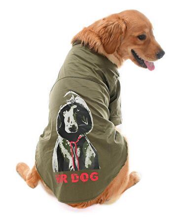 Orta ve Büyük Irk Köpek Gömlek - Rajo
