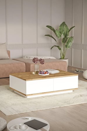 Orta Sehpa 60x90cm 2 Kapaklı Çam-beyaz