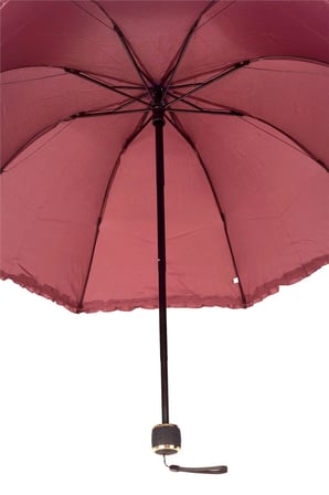 Bordo Çiçek Açan Kadın Şemsiye