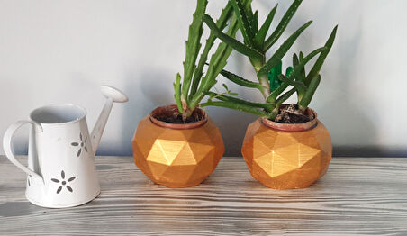 Geometrik Saksı