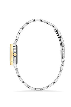 Ferro FL21609AWT-D6 Quartz Çelik Altın/Gri Yeşil Kadran 25 mm Kadın Kol Saati