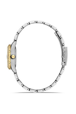 Ferro FL21619AWT-D6 Quartz Çelik Altın/Gri Yeşil Kadran 32 mm Kadın Kol Saati